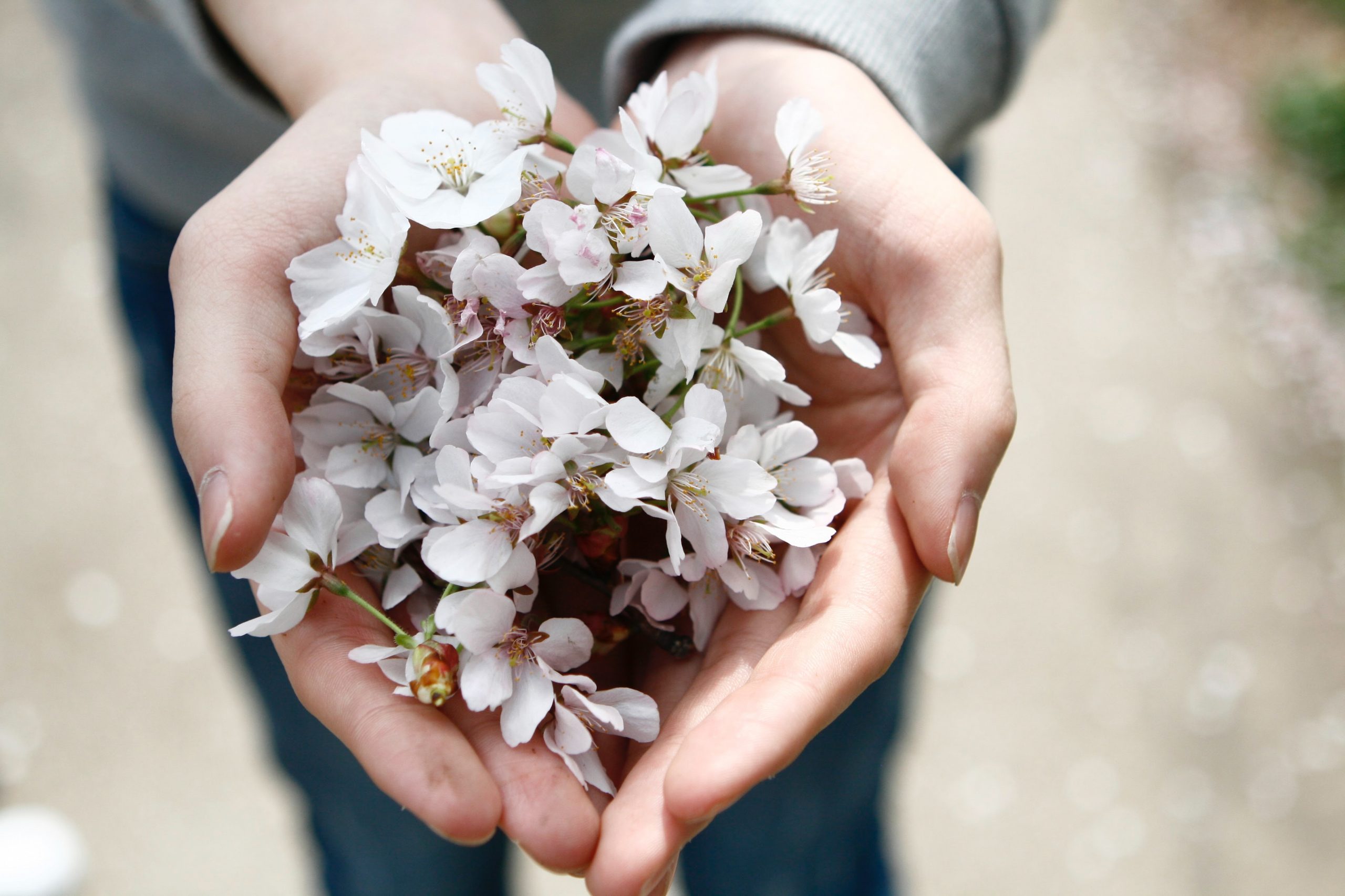 tactile sensory with flowers
